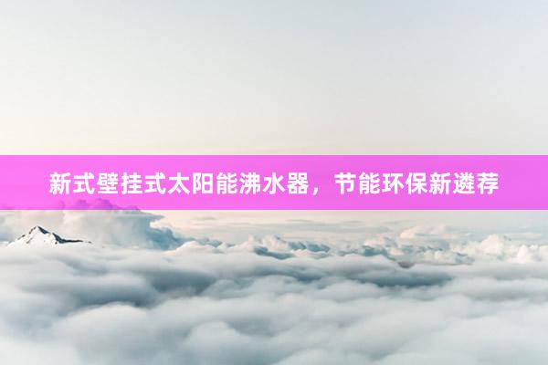新式壁挂式太阳能沸水器，节能环保新遴荐